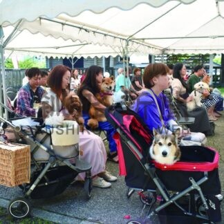 ペットの健康祈願　釧路鳥取神社で心静かに神事【釧路市】(2025-07-01)