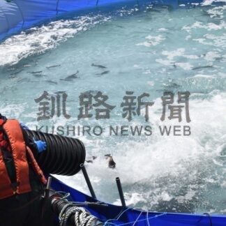 トラウトサーモン５０００匹投入　海面養殖実証試験を開始【根室】(2025-06-10)
