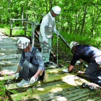 大道工業が湿原展望台遊歩道を修復作業【釧路市】(2025-06-28)