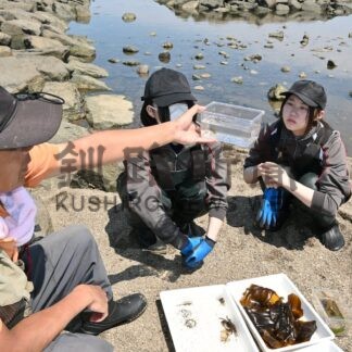 海の命の豊かさ実感　標津高生が藻場学習【標津】(2025-07-04)