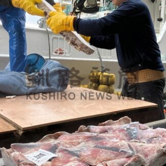 大型サンマ漁船の兼業可能　水産研究・教育機構、アカイカ試験操業で８０㌧【根室市】(2025-07-05)