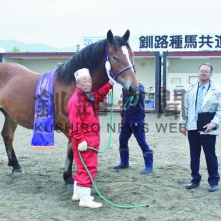 最高位に阿寒の中山さん育成「久美姫」　種馬共進会【釧路市】(2025-07-06)