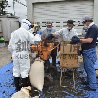 ホンダワラで肉牛ブランド化へ　町職員ら餌用に粉砕作業(2025-07-09)