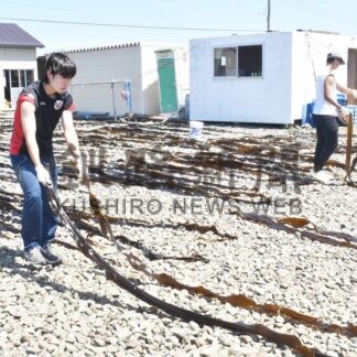 コンブ干し作業体験　東海大生インターンシップ【根室市】(2025-07-09)