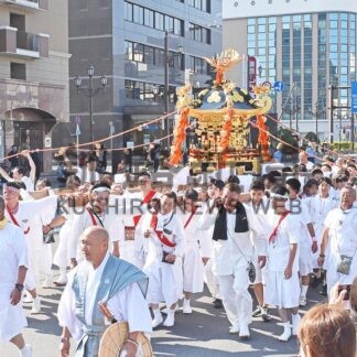 みこし渡御 ３５０人列　厳島神社例大祭、５０年ぶり修繕　金色に輝く【釧路市】(2025-07-13)