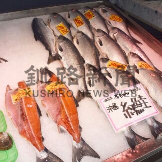 ベニ、シロザケ水揚げ最多　曳き網漁、花咲港に６６．６㌧【根室市】(2025-07-16)