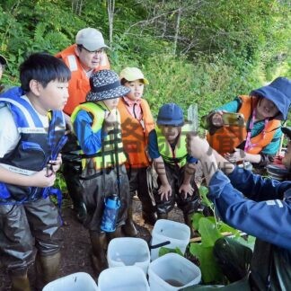 昆虫や魚の生態系学ぶ　春採湖で観察会【釧路市】(2025-07-16)