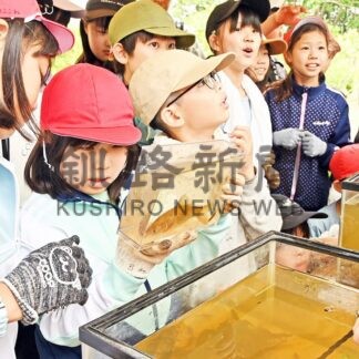 酪農と自然環境共生学ぶ　釧路開建が「生き物調査」　別海町内小学校と協働【別海町】(2025-07-17)