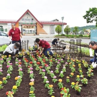 標茶駅前花壇に花の植栽作業　コスモス推進会議【標茶町】(2025-07-18)
