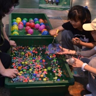 お買い得商品　ちびっこ縁日も　釧路和商市場、きょうまで特売【釧路市】(2025-08-09)