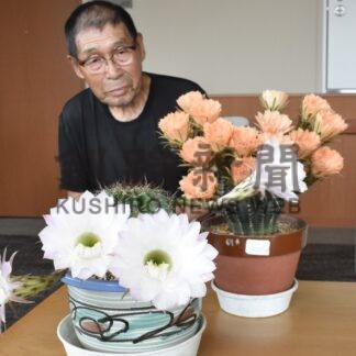 サボテンの花、管理実り満開　「港陽の峰」入居者【釧路市】(2025-08-11)