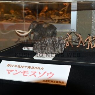 恐竜・化石展示巡ろう　別海などでスタンプラリー(2025-08-17)