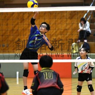 Ｓビクトリー優勝  小学バレー、管内８チーム熱戦【釧路町】(2025-08-18)