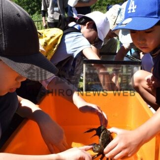 春採湖で外来種学ぶ　小中生ら体験教室【釧路市】(2025-08-22)