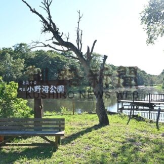 水遊びきらめいて⑫　小野沼公園【別海町】(2025-08-31)