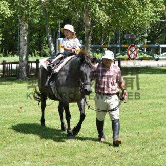 釧根夏の思い出 レジャー満喫_3(2025-09-01)