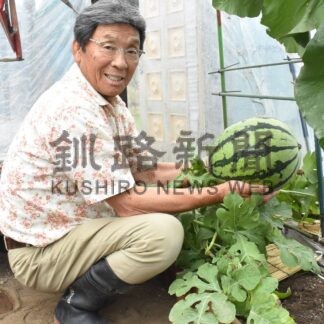 夏の暑さでスイカ「大きく育った」　釧路在住の赤川さん、ハウスで種から【釧路市】(2025-09-07)