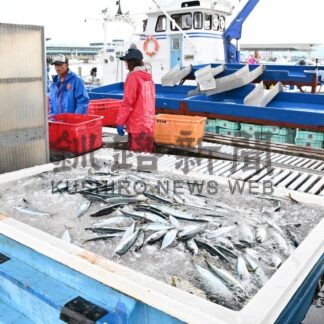 標津で秋サケ初水揚げ　低調スタート「サバばかり」【標津町】(2025-09-12)