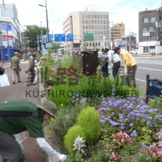 花壇きれいに　釧路の団体が清掃作業に汗【釧路市】(2025-09-13)