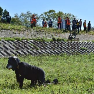 市街地クマ役場判断で発砲　釧根管内で初「緊急銃猟」訓練、連絡や対応を確認【標茶町、弟子屈町】(2025-09-28)