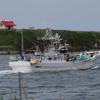 根室十景、魅力向上を　弁天島も候補　創陽ク、政策提言へ【根室市】(2025-10-01)