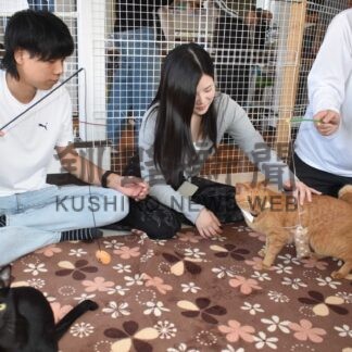 猫と触れ合い笑顔　ツキイチ祭り【釧路市】(2025-10-01)