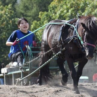 人馬一体、５０頭が出走　摩周湖ばん馬大会【弟子屈町】(2025-10-12)