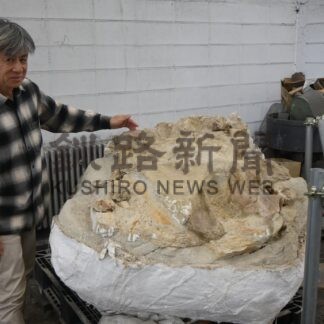 １００万年前のクジラ化石公開　２日に道教大釧路校で【釧路市】(2025-10-31)