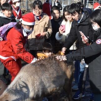 トナカイと触れ合い　釧路市動物園でＸマスイベント【釧路市】(2025-12-08)