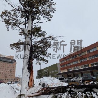 釧根大荒れ　生活に影響　ＪＲ、空の便運休　各地で停電【釧路市】_1(2025-12-16)