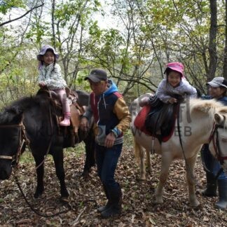 【元旦号第3部】釧路と馬に深い歴史 乗用馬文化が再注目 標茶で「聖地」づくり進む【釧路市】(2026-01-01)