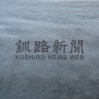 〝しばれ〟冬本番　根室湾でテシロップ確認【根室市】(2026-01-09)