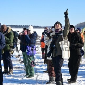 オオワシ観察に歓声　バードランドフェス開幕【根室市】(2026-01-25)