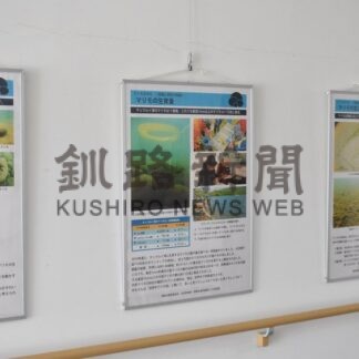 マリモの現状パネルで紹介　ときわ台ヒルズ【釧路市】(2026-02-11)