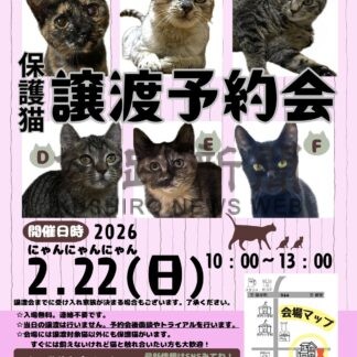 22日猫の日に譲渡予約会【浜中町】(2026-02-16)